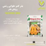 بذر کدو حلوایی رشتی رویش بذر