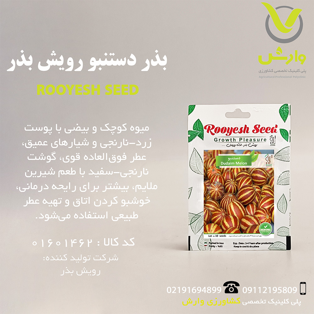 بذر دستنبو رویش بذر