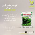 بذر بستر گیاهان آبزی رویش بذر