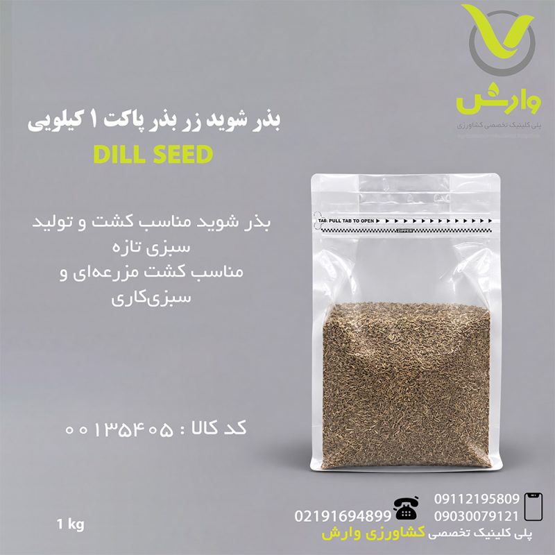 DILL SEED