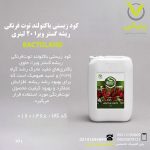کود زیستی باکتولند توت فرنگی ریشه گستر ویرا 20 لیتری