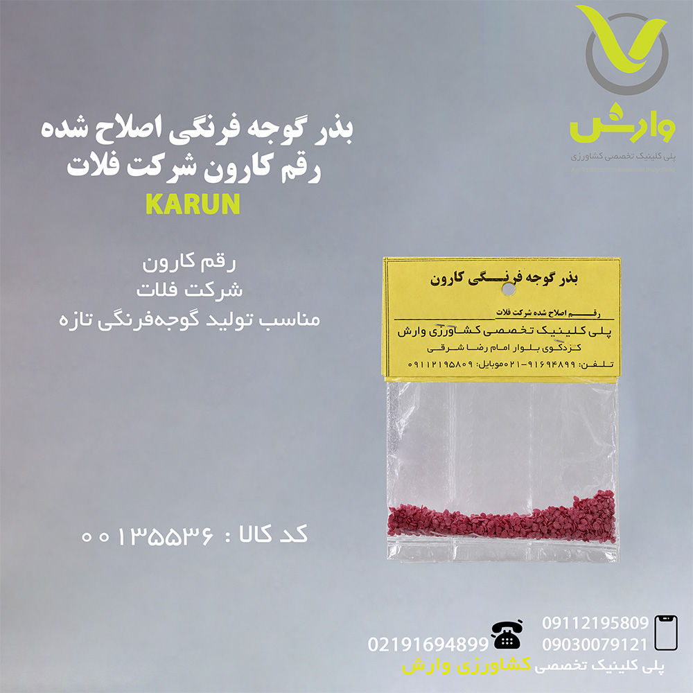 بذر گوجه فرنگی اصلاح شده رقم کارون شرکت فلات