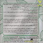 بذر کاکتوس تلو کاکتوس میکس رویش بذر - Image 2