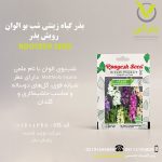 بذر گیاه زینتی شب بو الوان رویش بذر