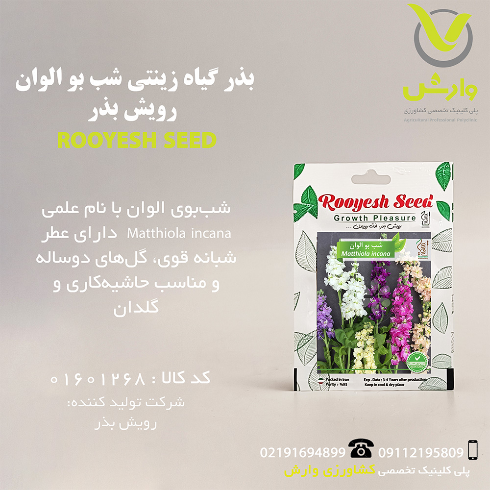 بذر گیاه زینتی شب بو الوان رویش بذر
