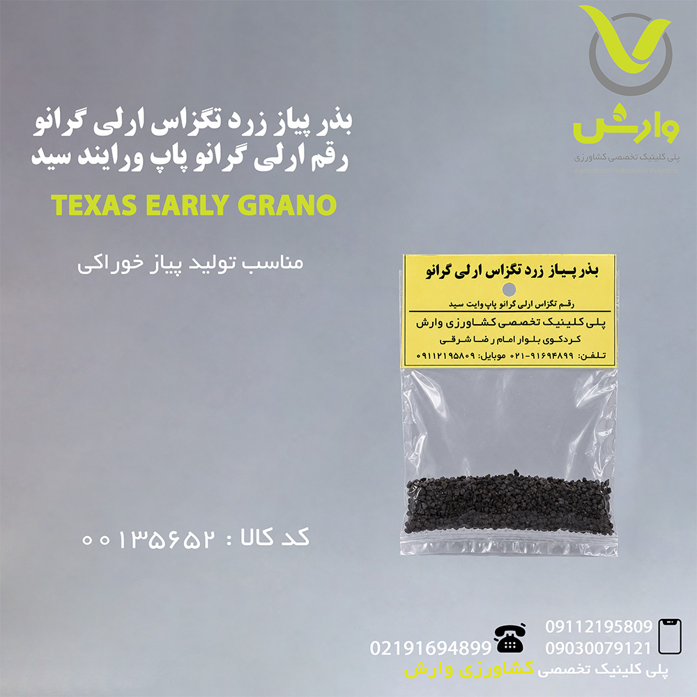 بذر پیاز زرد تگزاس ارلی گرانو رقم ارلی گرانو پاپ ورایند سید