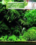 بذر بستر گیاهان آبزی رویش بذر - Image 2