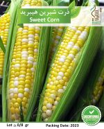 بذر ذرت شیرین هیبرید رویش بذر - Image 2