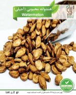 بذر هندوانه محبوبی (آجیلی) رویش بذر - Image 2