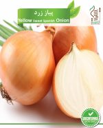 بذر پیاز زرد رویش بذر - Image 2
