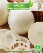 بذر پیاز سفید رویش بذر - Image 2