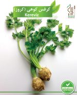 بذر کرفس کوهی (کروز) رویش بذر - Image 2