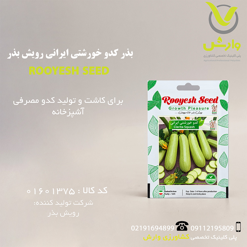 بذر کدو خورشتی ایرانی رویش بذر