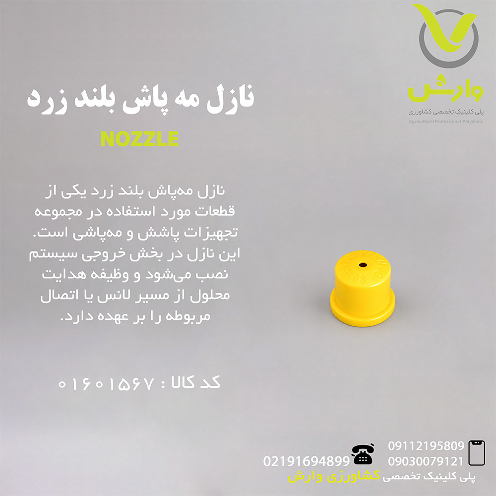 نازل مه پاش بلند زرد