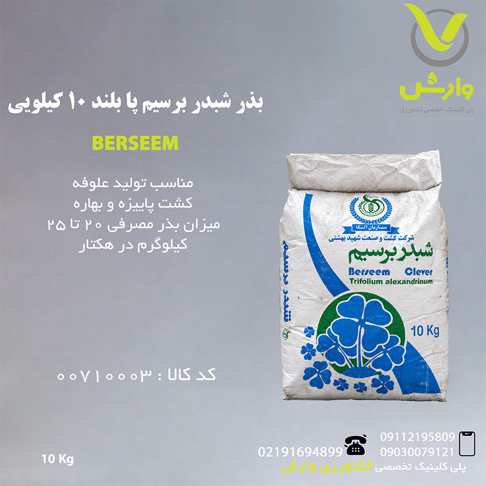 بذر شبدر برسیم پا بلند 10 کیلویی