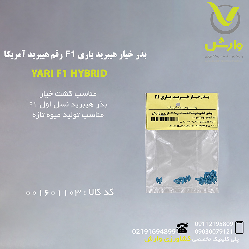 بذر خیار هیبرید یاری F1 رقم هیبرید آمریکا