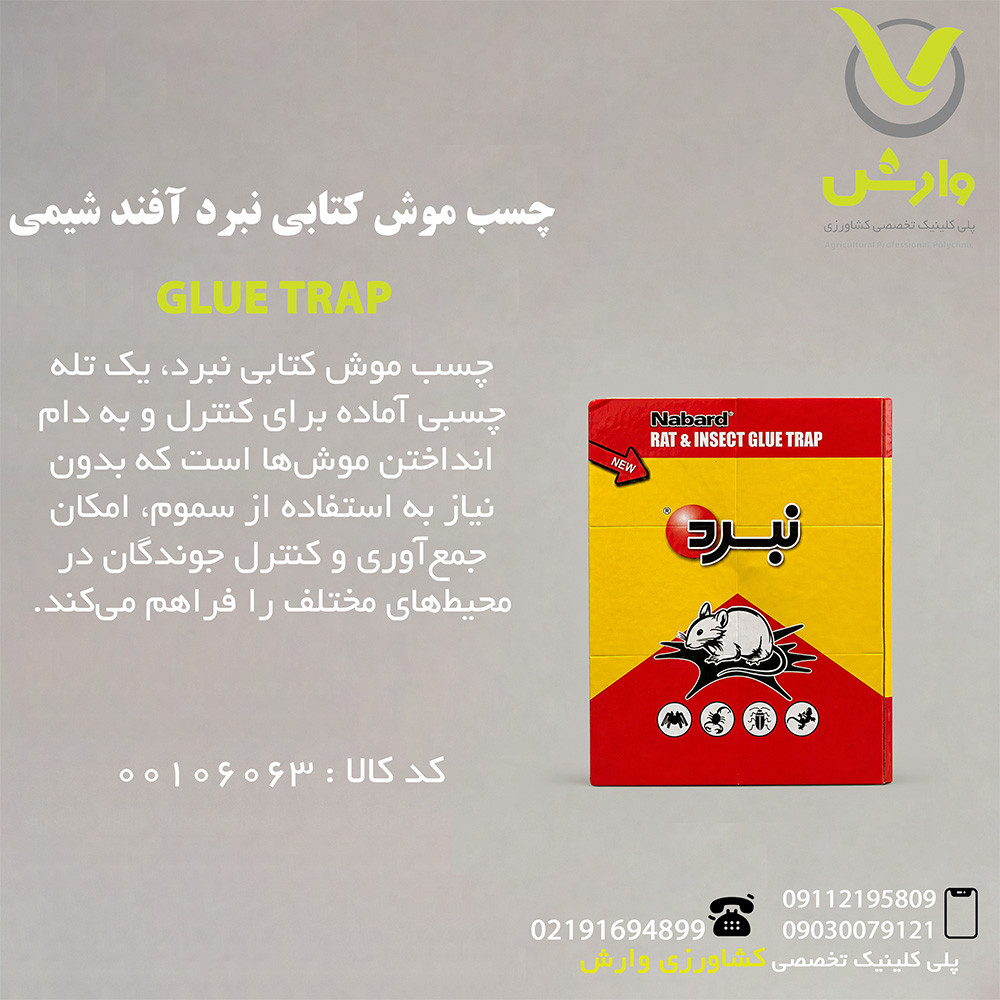 چسب موش کتابی نبرد آفند شیمی