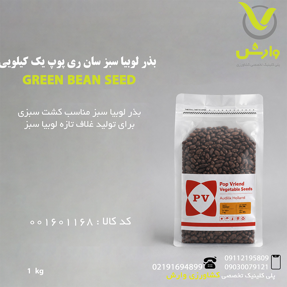 بذر لوبیا سبز سان ری پوپ یک کیلویی
