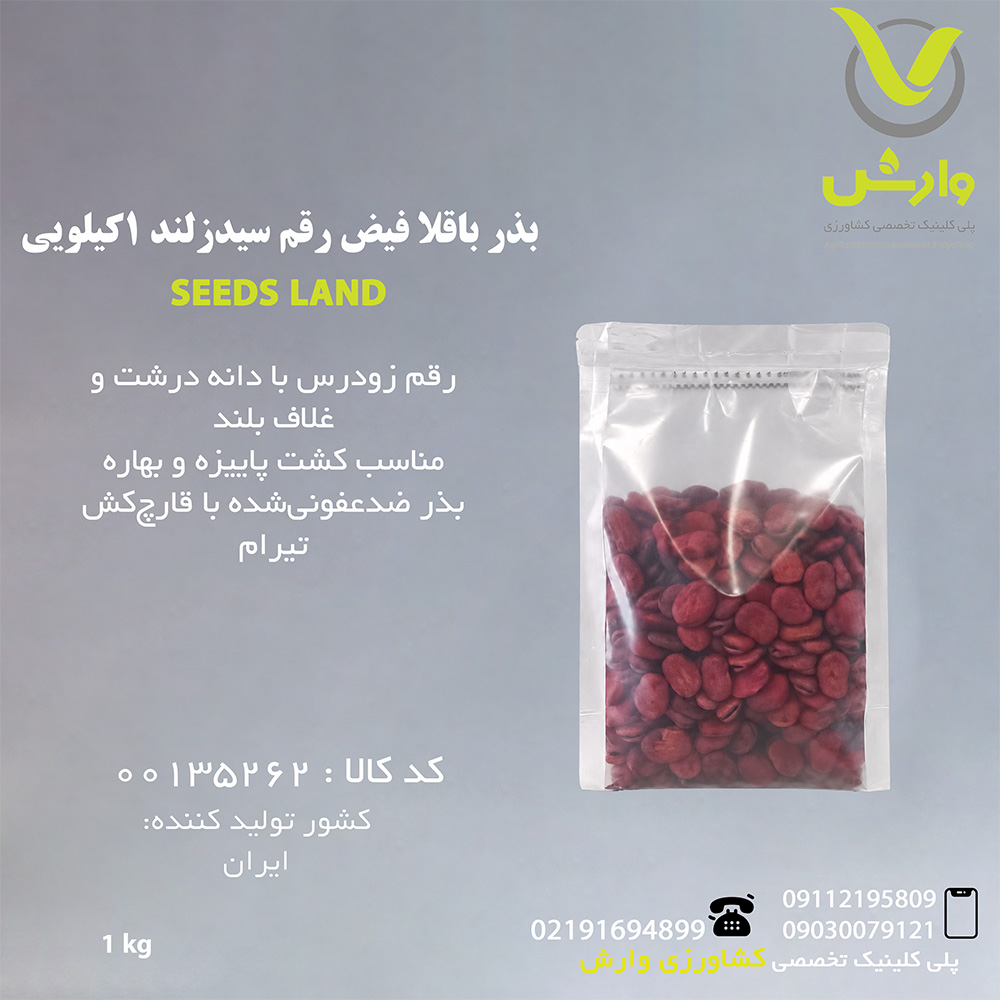 بذر باقلا فیض رقم سیدزلند 1کیلویی