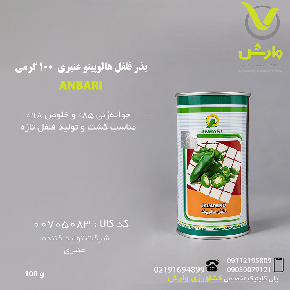 بذر فلفل هالوپینو عنبری  100 گرمی قوطی