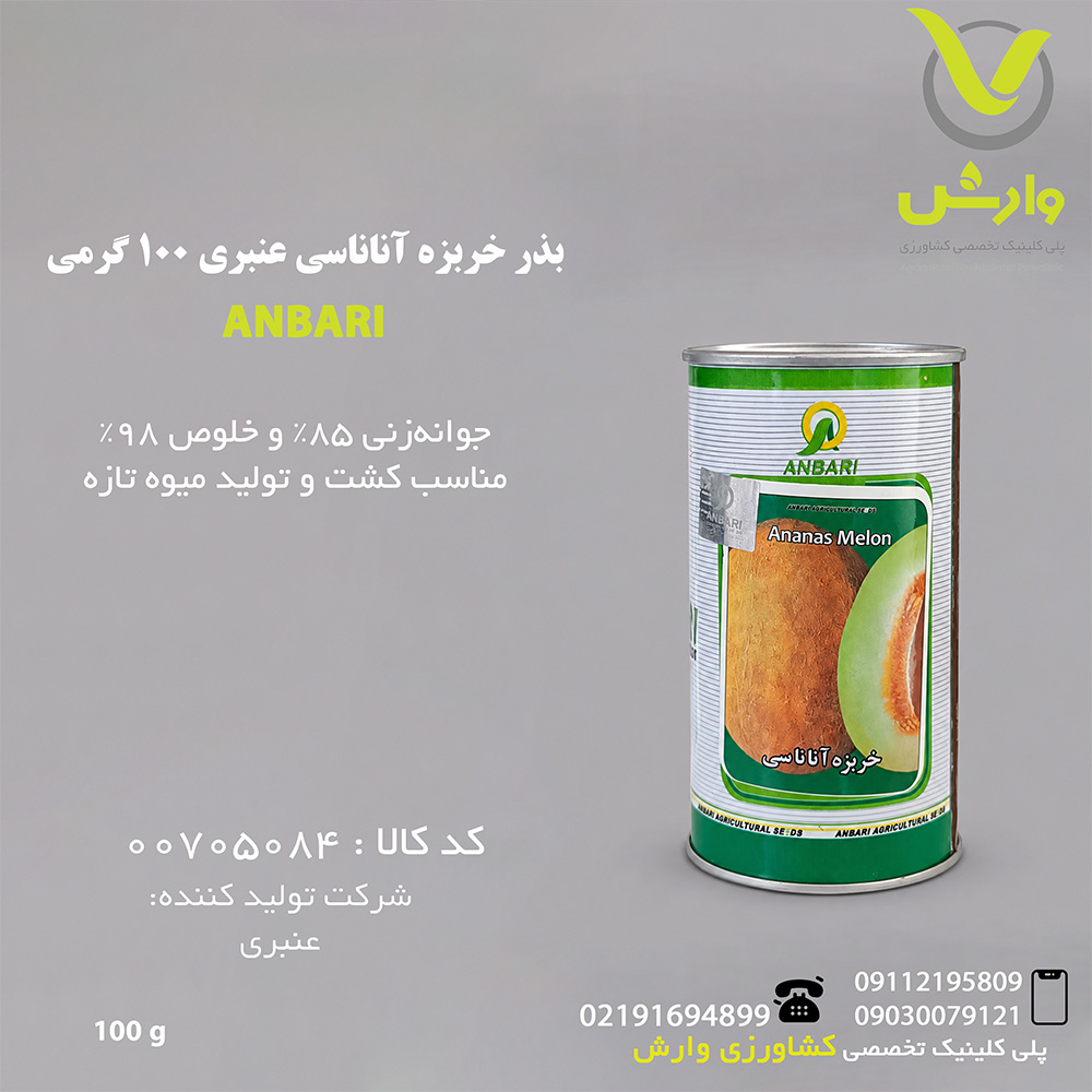 بذر خربزه آناناسی عنبری 100 گرمی